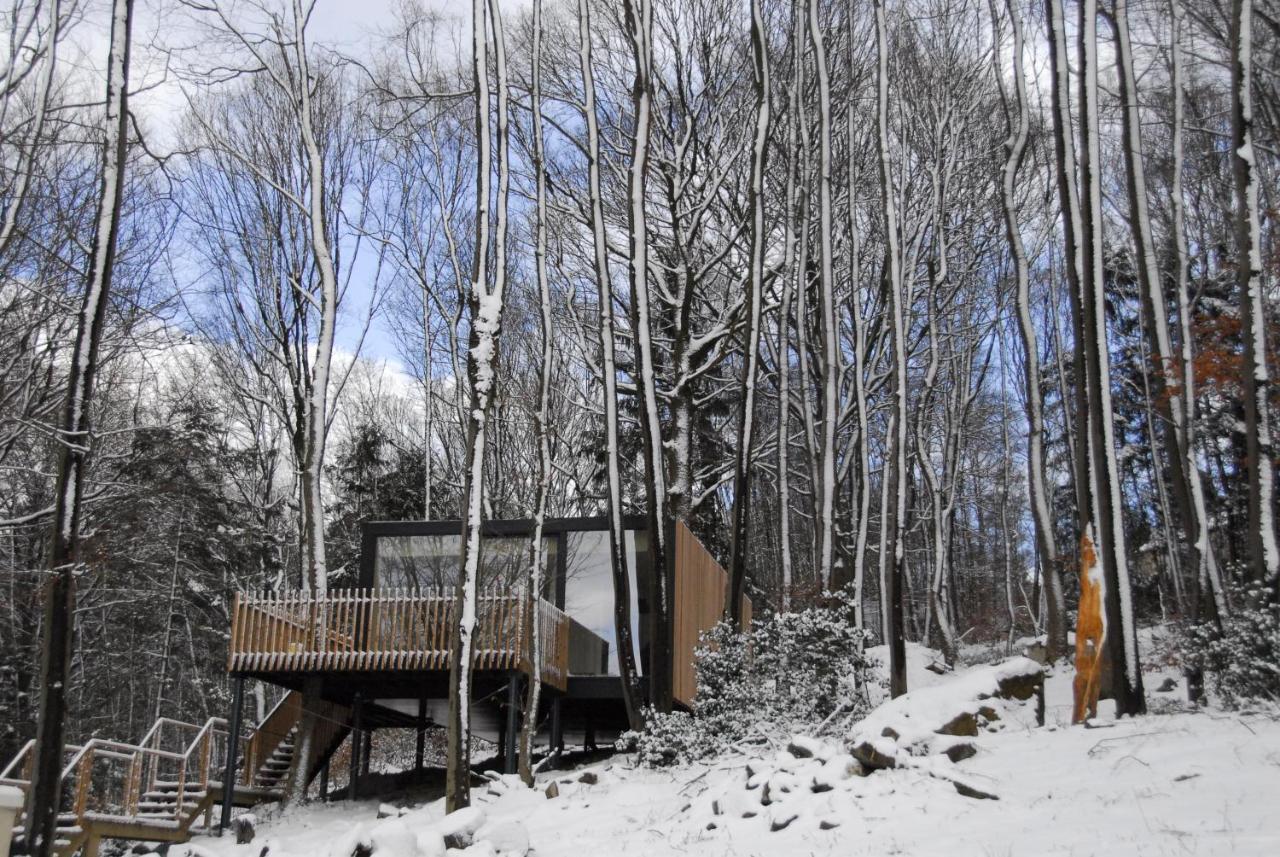 Gite Des Bois De Spa Exterior foto